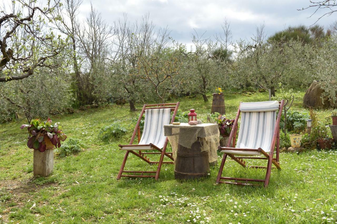 Agriturismo Campo Alla Piana Villa Monticchiello Buitenkant foto